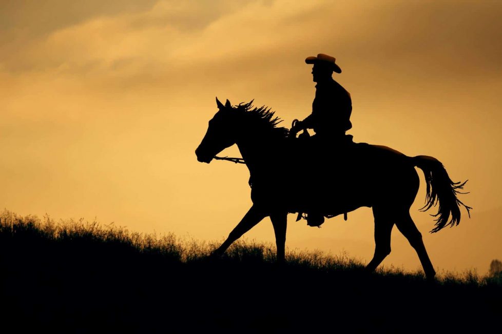A silhouette of a cowboy and horse walking up a meadow with an
